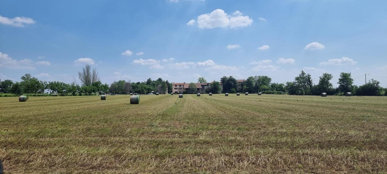 Alle Albare * Montorio Veronese